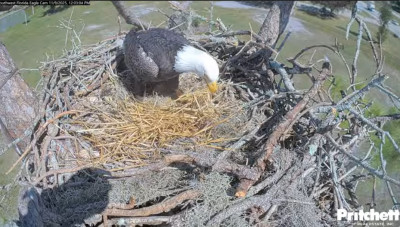 bandicam 2025-11-15 14-37-12-296.jpg