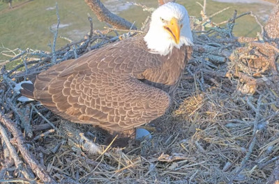 bandicam 2025-11-15 14-39-51-564.jpg