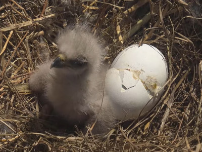 bandicam 2025-12-20 11-07-32-347.jpg