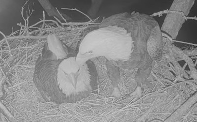 bandicam 2025-12-19 07-45-46-753.jpg