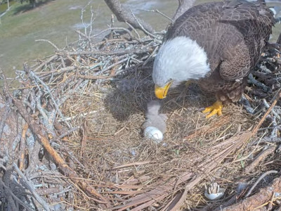 bandicam 2025-12-19 17-49-59-929.jpg