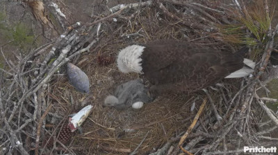 bandicam 2026-01-05 17-09-51-907.jpg