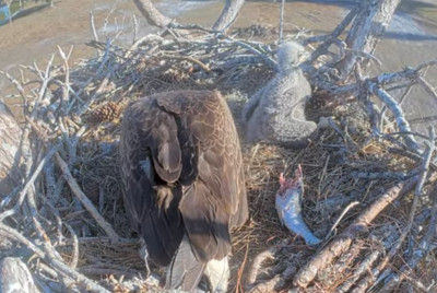 bandicam 2026-01-08 20-37-55-812.jpg