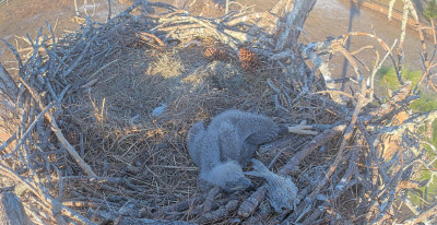 bandicam 2026-01-08 20-39-47-232.jpg