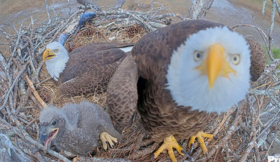 bandicam 2026-01-13 08-04-29-242.jpg