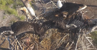 bandicam 2026-02-02 08-25-46-011.jpg