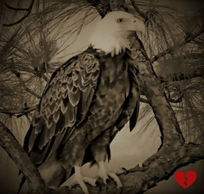 bandicam 2026-02-02 08-27-31-643.jpg