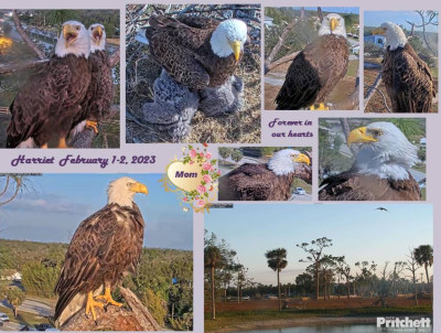 bandicam 2026-02-02 08-28-15-597.jpg