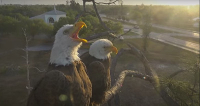 bandicam 2025-03-29 17-11-24-675.jpg