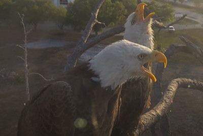 bandicam 2025-03-29 17-11-46-852.jpg